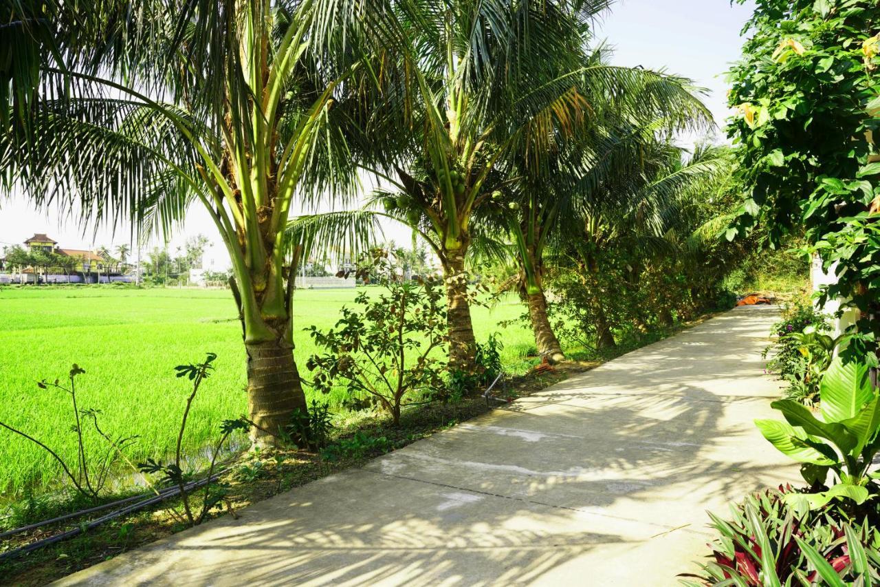 Hoang Y Homestay هوي ان المظهر الخارجي الصورة