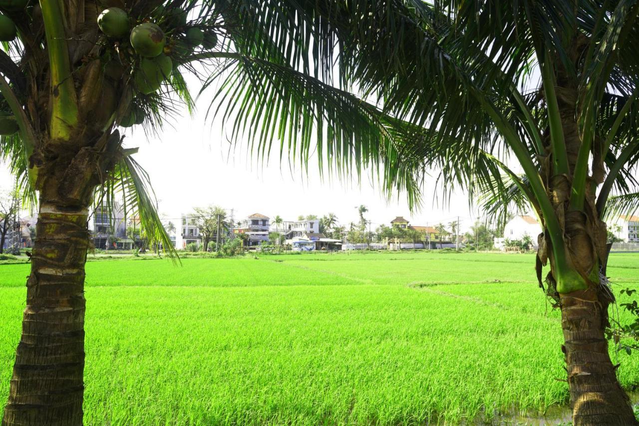 Hoang Y Homestay هوي ان المظهر الخارجي الصورة